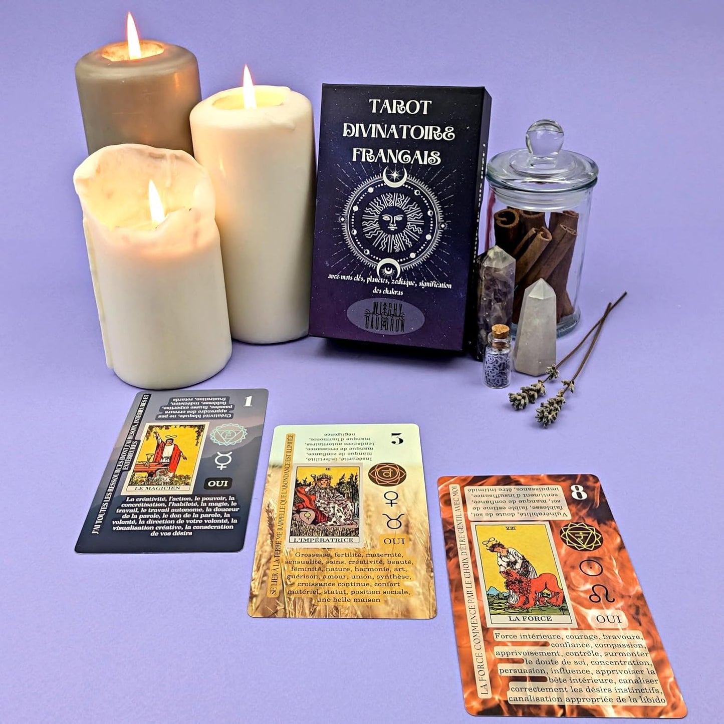 Witchy Cauldron Tarot Cards for Beginners in French with Guide