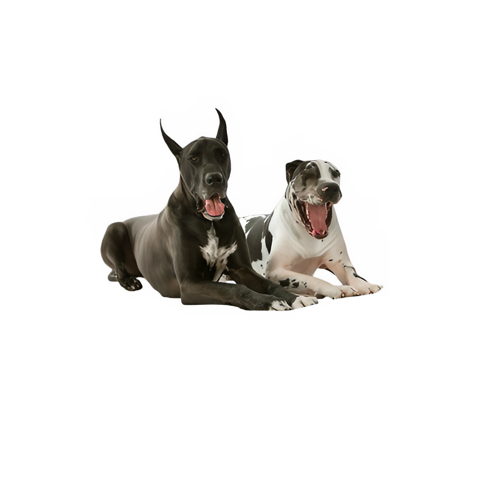 2317d761-6a32-45a8-bed9-c1b72e6742b3