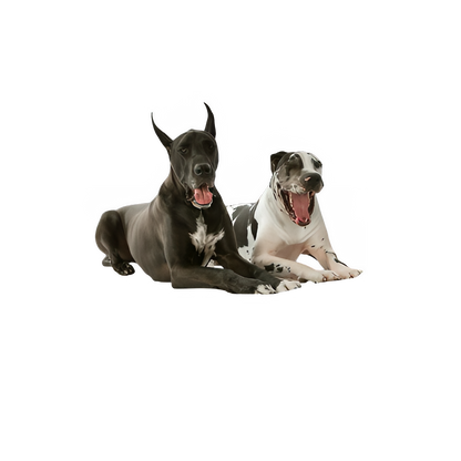 2317d761-6a32-45a8-bed9-c1b72e6742b3