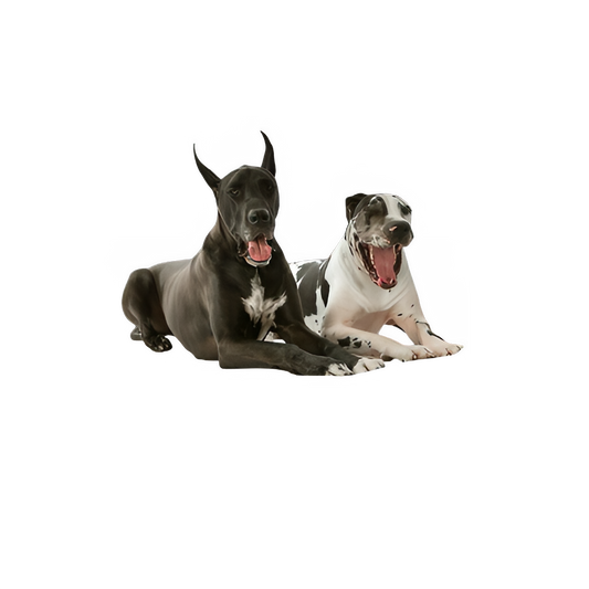 2317d761-6a32-45a8-bed9-c1b72e6742b3