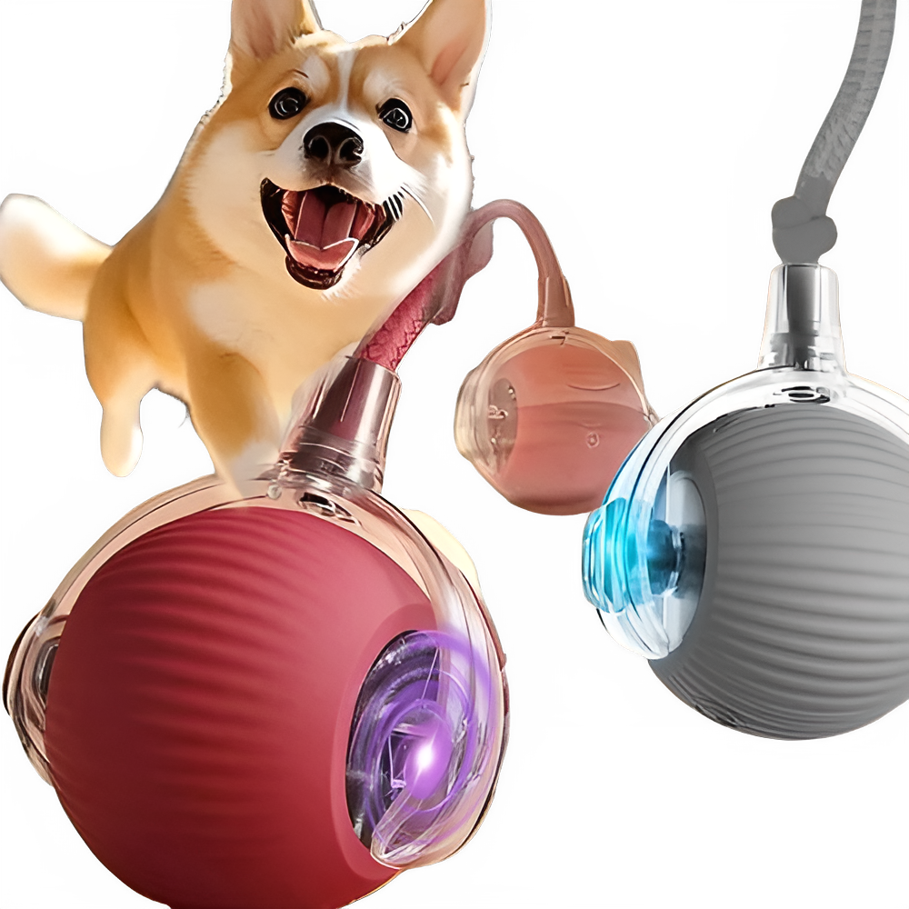 4d89db81-fe1a-41e6-b1a5-65f3d9329a8f