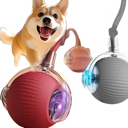 4d89db81-fe1a-41e6-b1a5-65f3d9329a8f