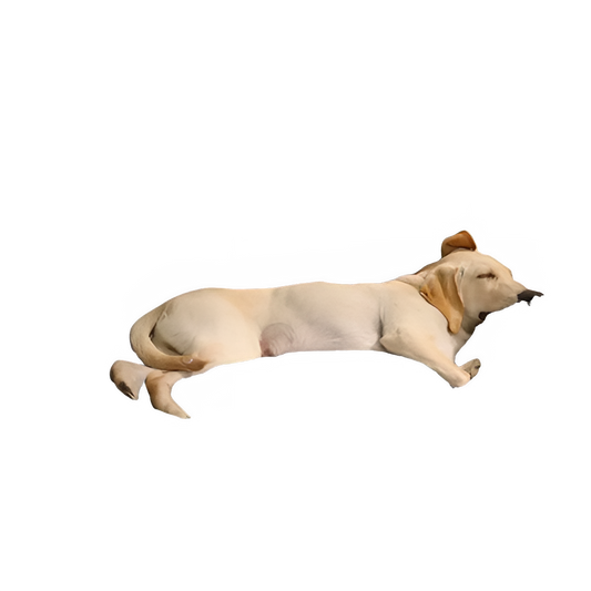 5d0ae2a4-d006-4a64-a879-e0fb5d3ee6cf