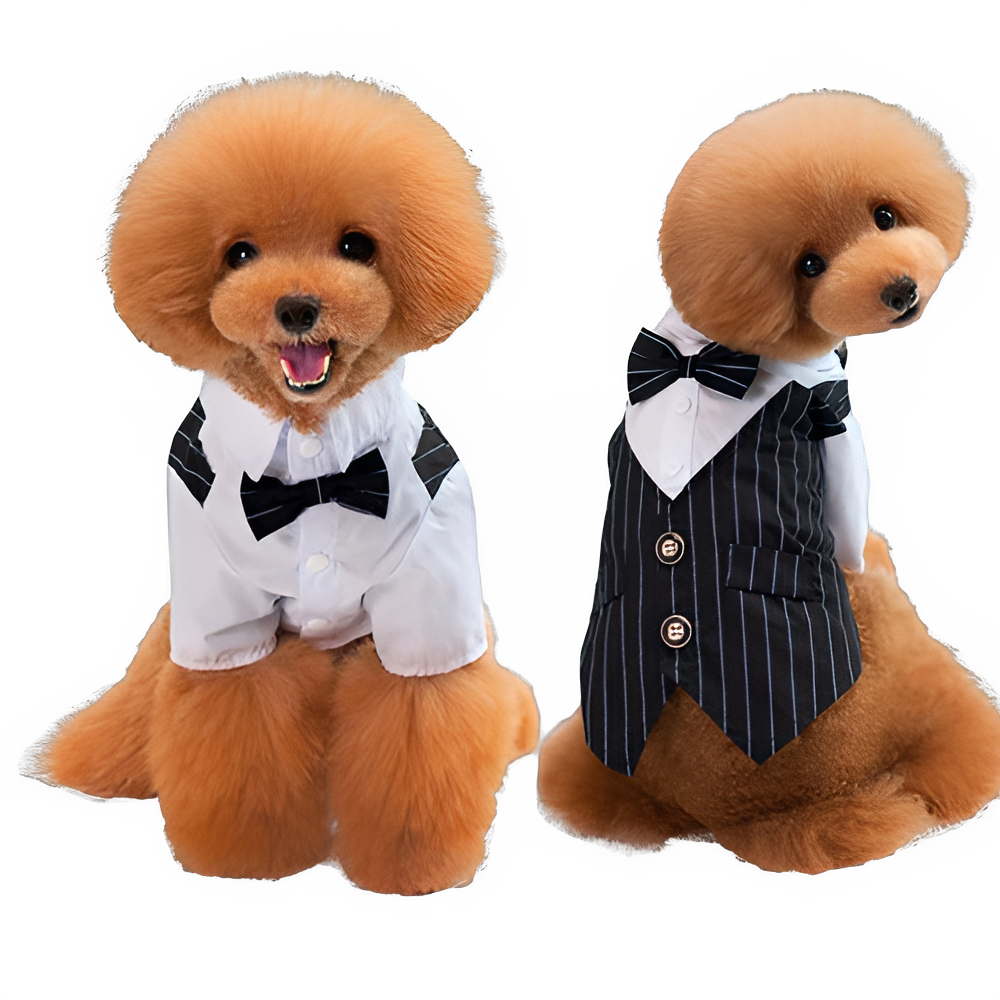 60f5c193-0455-43c5-b44e-113ae54bffc1