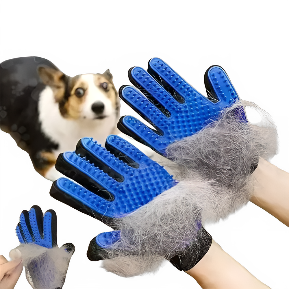 66f475eb-19d7-4b34-ac94-f9b8831729e3