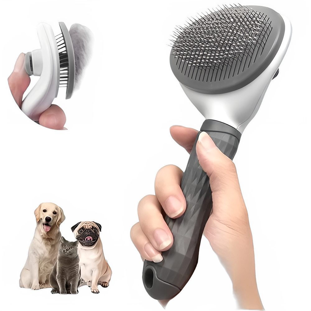 85d96821-09a2-4c1b-93cf-7fed511dd702