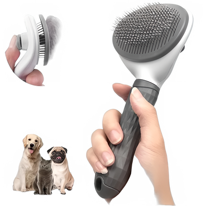 85d96821-09a2-4c1b-93cf-7fed511dd702