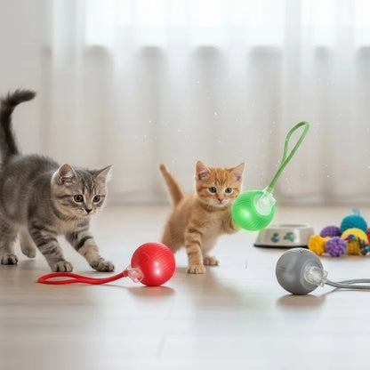 S169c9af5915d4f24b316b7d469990b3fF