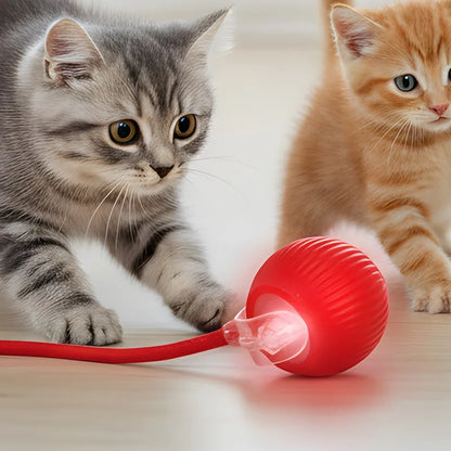 S518d1b69b4b741aa9094d53d18a966b9Q