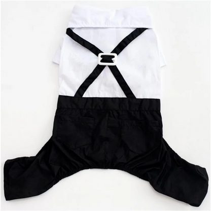 S823e5c44126542dca55d5441613e9cceK