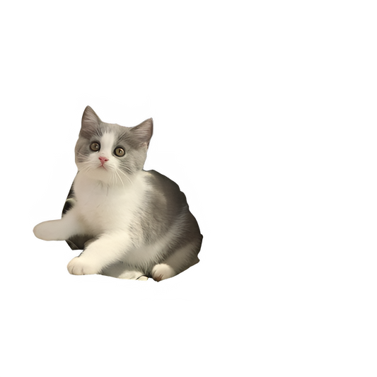 a42ed3bb-7c5c-484f-9aba-2d7f6543598c