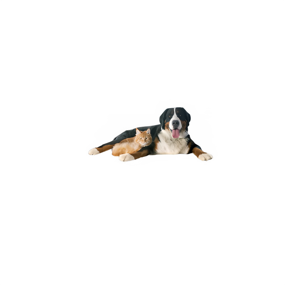 e04d5437-1658-4086-bfea-e35890c1debb