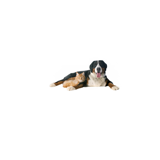 e04d5437-1658-4086-bfea-e35890c1debb